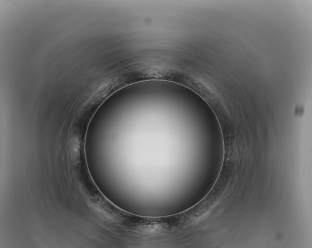 X0000094370646200711091539