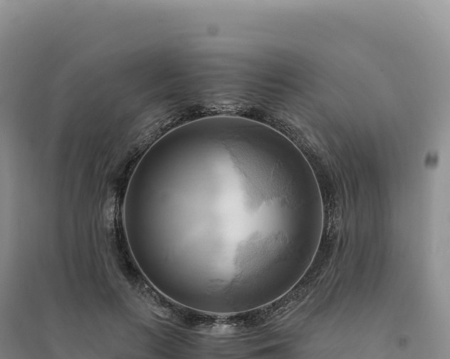 X0000094370647200711091539