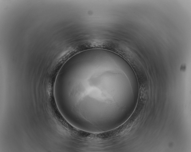 X0000094370648200711091539