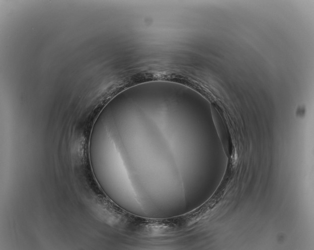 X0000094370650200711091539