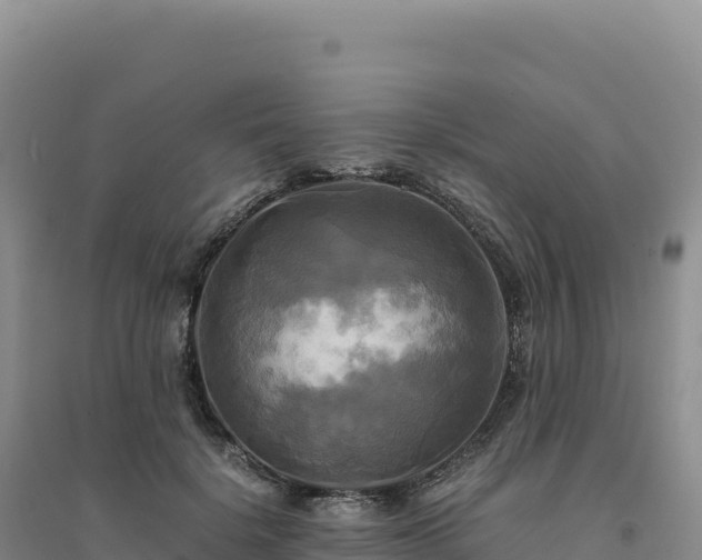 X0000094370652200711091539