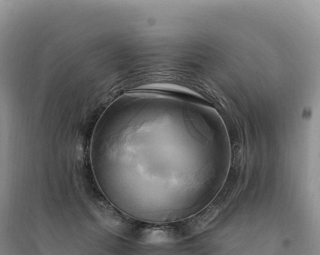 X0000094370655200711091539