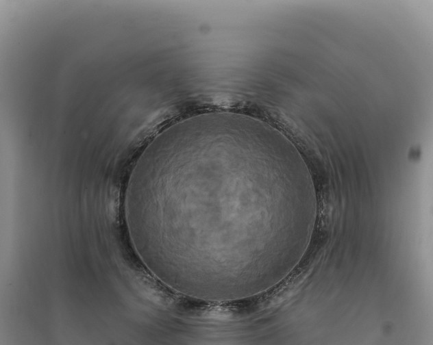 X0000094370656200711091539