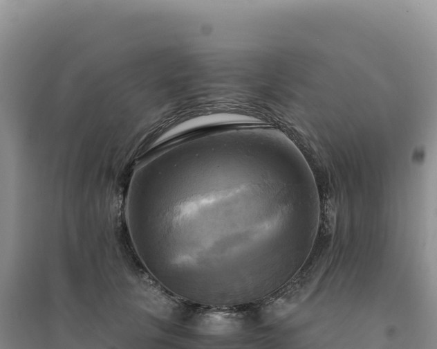 X0000094370657200711091539