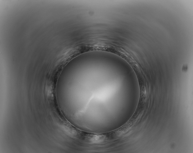 X0000094370663200711091539
