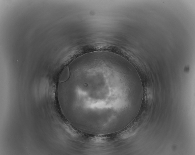 X0000094370664200711091539