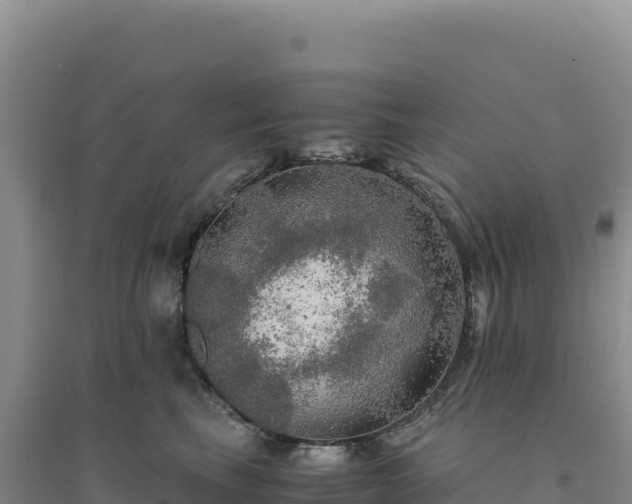 X0000094370665200711091539