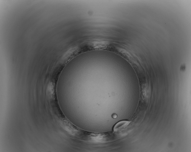 X0000094370667200711091539
