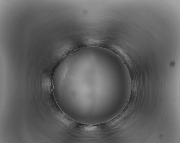 X0000094370669200711091539