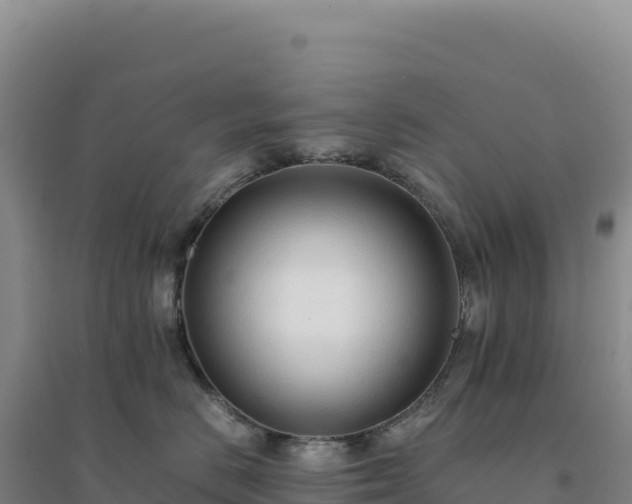 X0000094370670200711091539