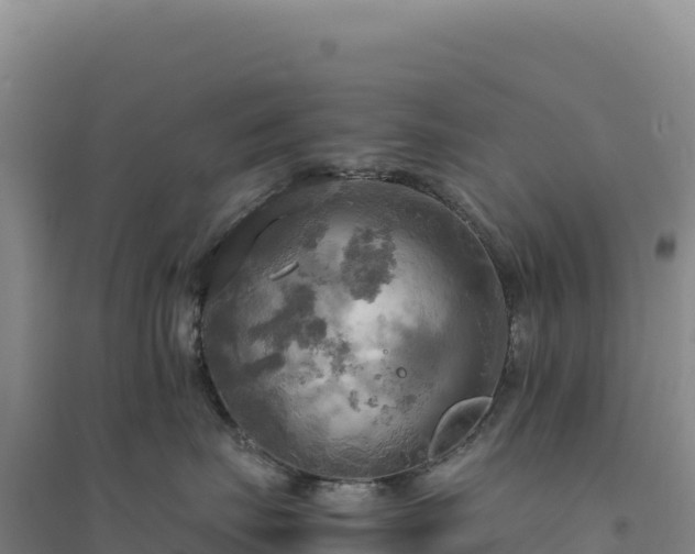 X0000094370671200711091539