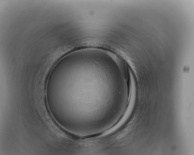 X0000094370673200711091539