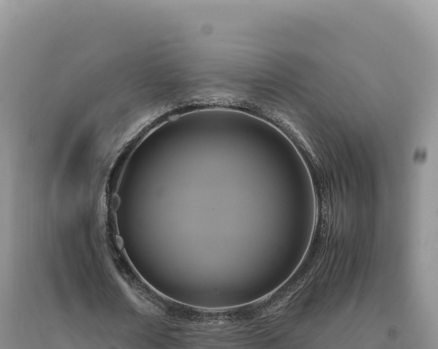 X0000094370674200711091539