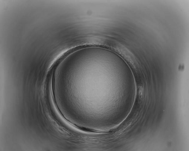 X0000094370676200711091539