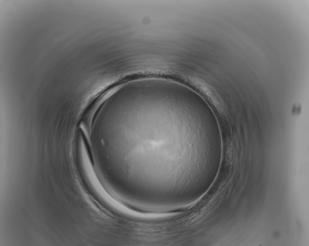X0000094370677200711091538