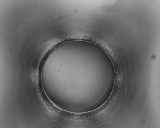 X0000094370678200711091538