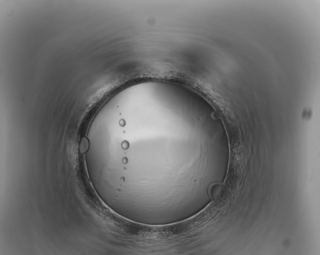X0000094370679200711091538