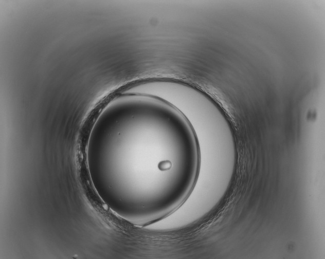 X0000094370680200711091538