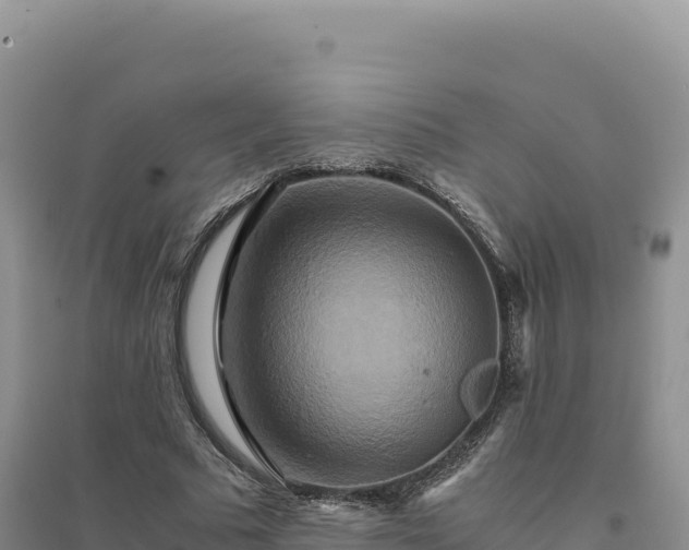 X0000094370681200711091538