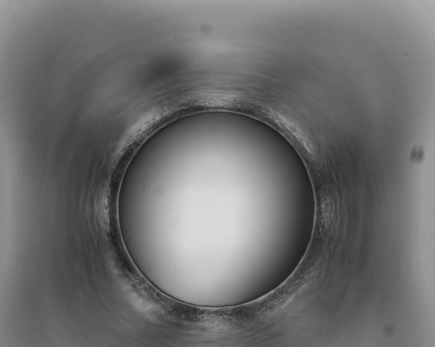 X0000094370682200711091538