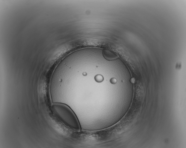 X0000094370683200711091538