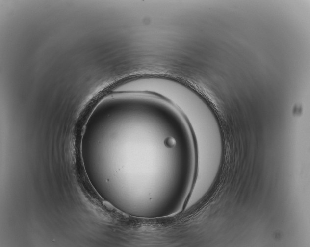 X0000094370684200711091538