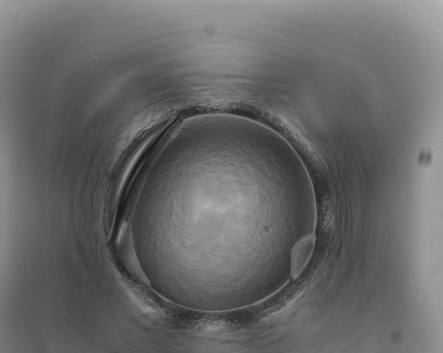 X0000094370685200711091538