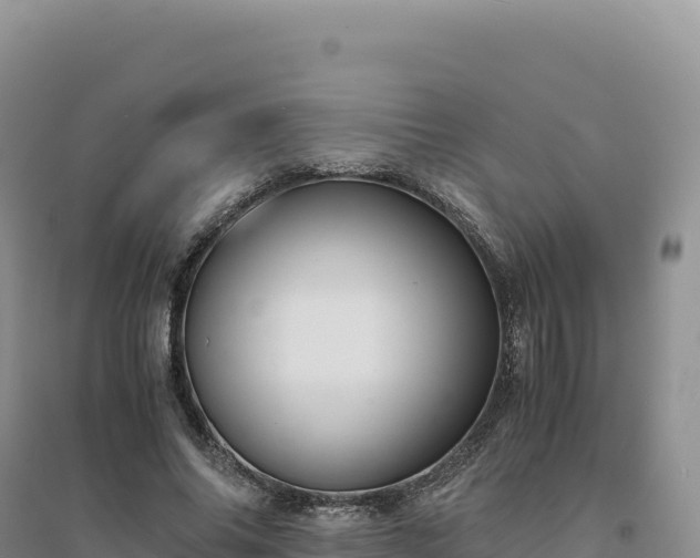 X0000094370686200711091538
