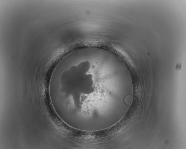 X0000094370687200711091538