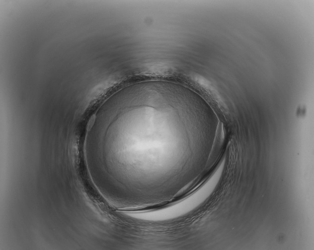 X0000094370688200711091538