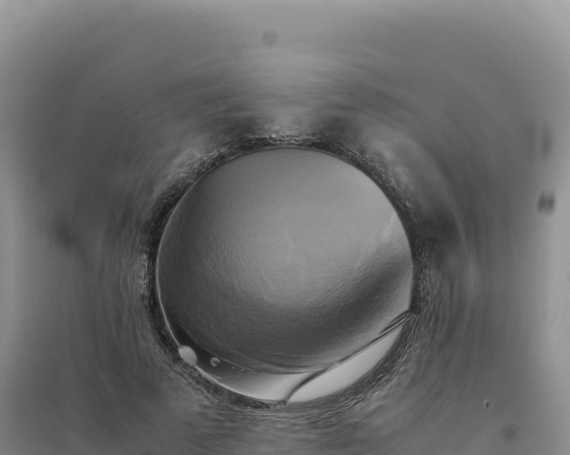 X0000094370689200711091538