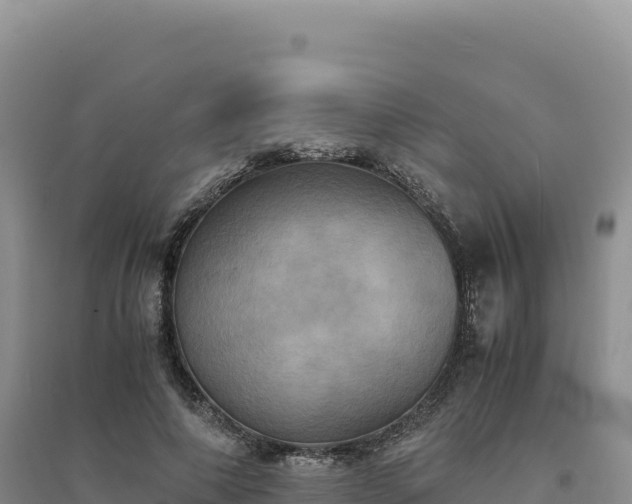 X0000094370690200711091538