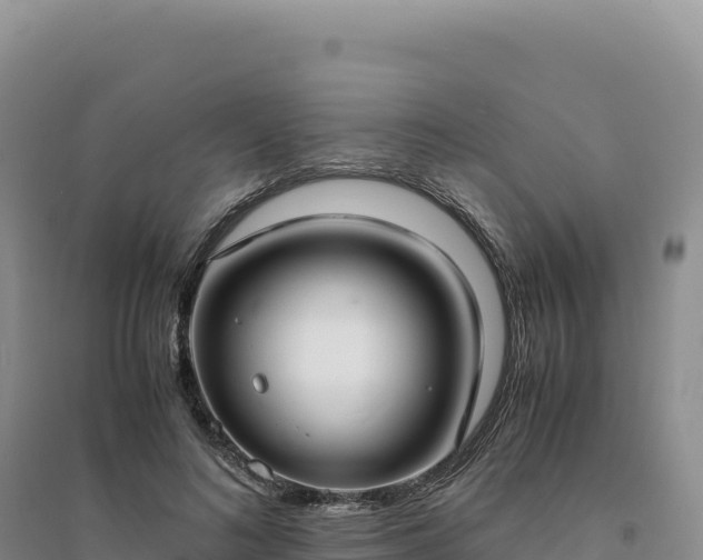 X0000094370692200711091538