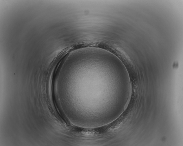 X0000094370693200711091538