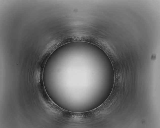 X0000094370694200711091538