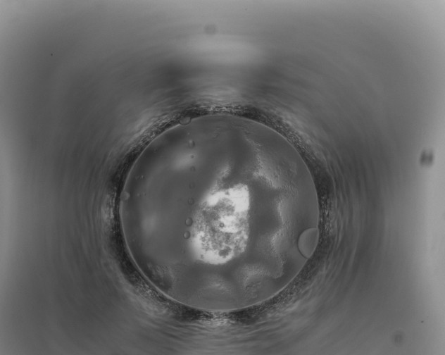 X0000094370695200711091538