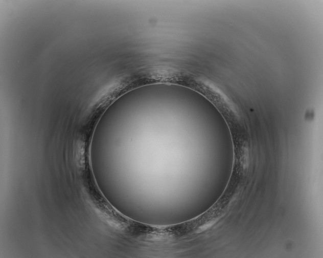 X0000094370696200711091538