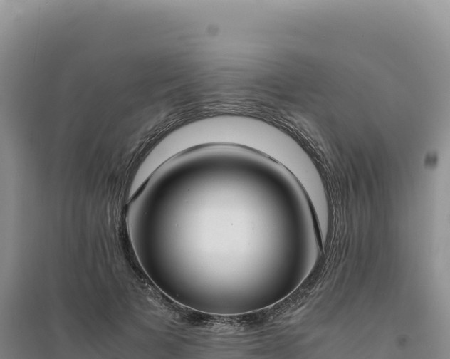 X0000094370697200711091538