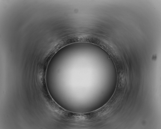 X0000094370698200711091538