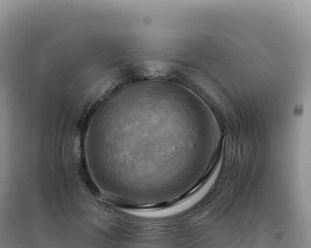 X0000094370700200711091538