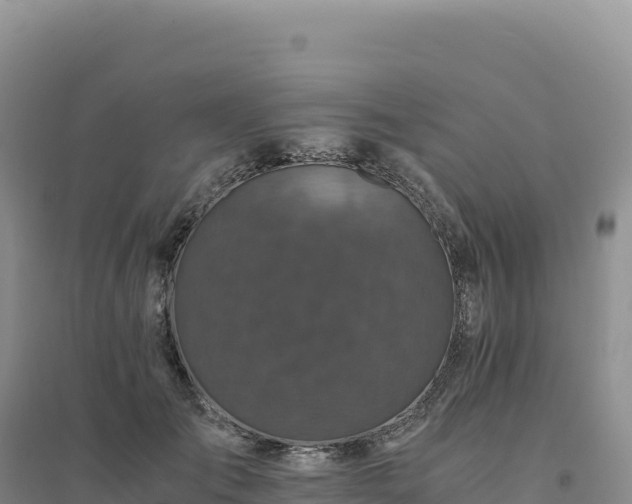 X0000094370701200711091538