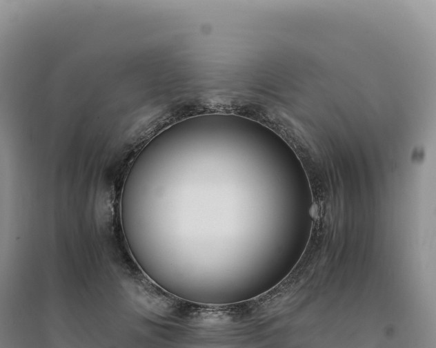 X0000094370702200711091538