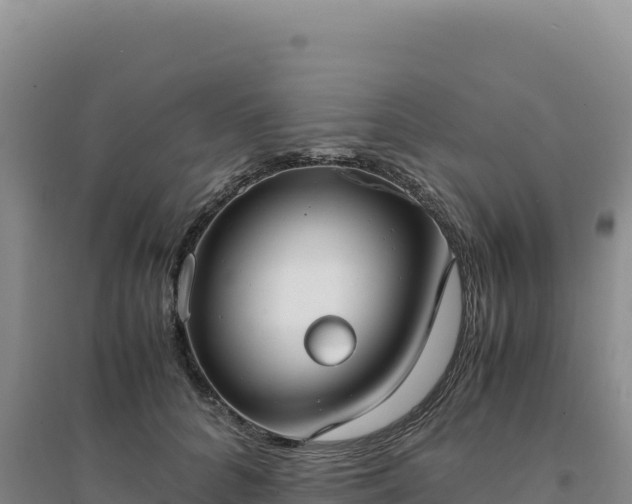 X0000094370704200711091538