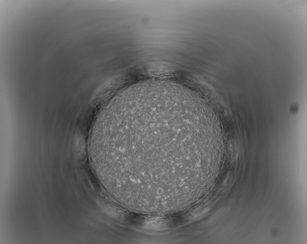 X0000094370705200711091538