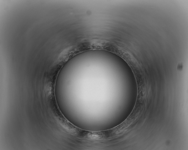 X0000094370706200711091538