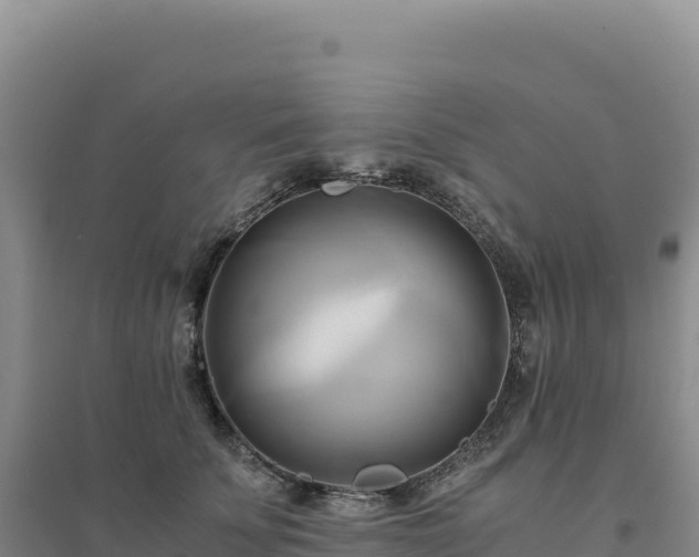 X0000094370707200711091538