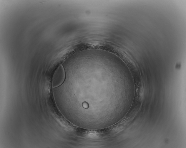 X0000094370710200711091538