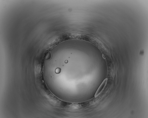 X0000094370711200711091538