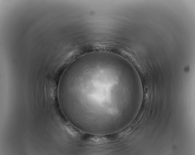 X0000094370712200711091538
