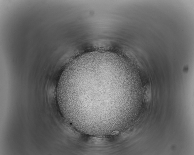 X0000094370713200711091538